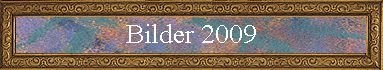 Bilder 2009