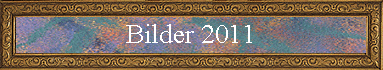 Bilder 2011