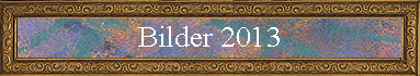 Bilder 2013