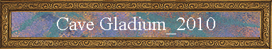 Cave Gladium_2010
