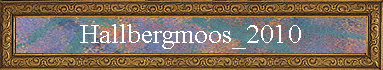 Hallbergmoos_2010