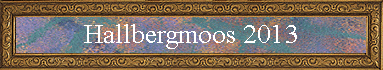 Hallbergmoos 2013