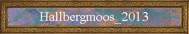 Hallbergmoos_2013