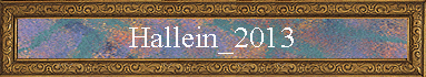 Hallein_2013