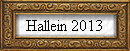 Hallein 2013