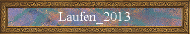 Laufen_2013