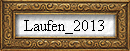Laufen_2013