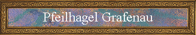 Pfeilhagel Grafenau